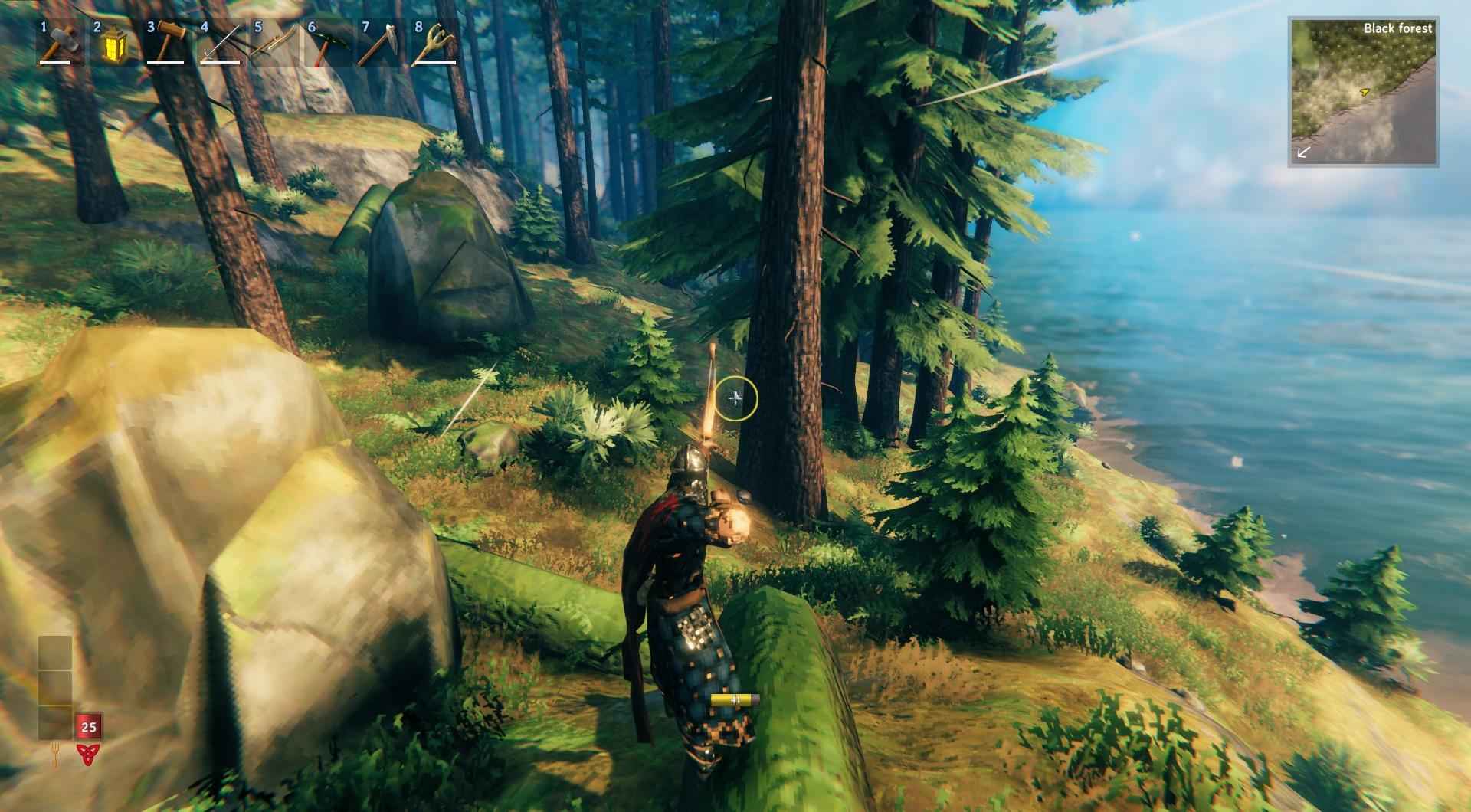 Rüste dich mit Bogen oder Speer aus und warte darauf, dass Vögel landen, bevor du schießt in Valheim.