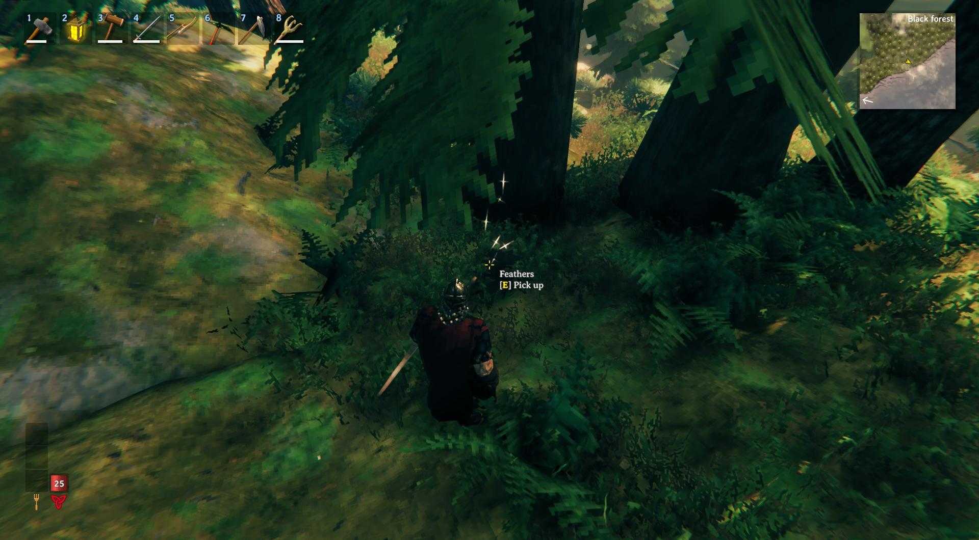 Erkunde Küstengebiete für einfachere Vogelsichtungen und Jagdmöglichkeiten in Valheim.