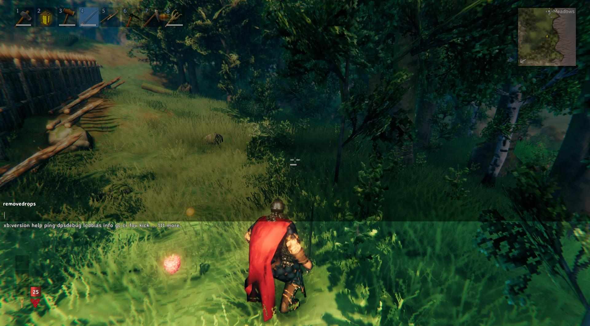 Entferne Gegenstände mit einem Konsolenbefehl in Valheim.