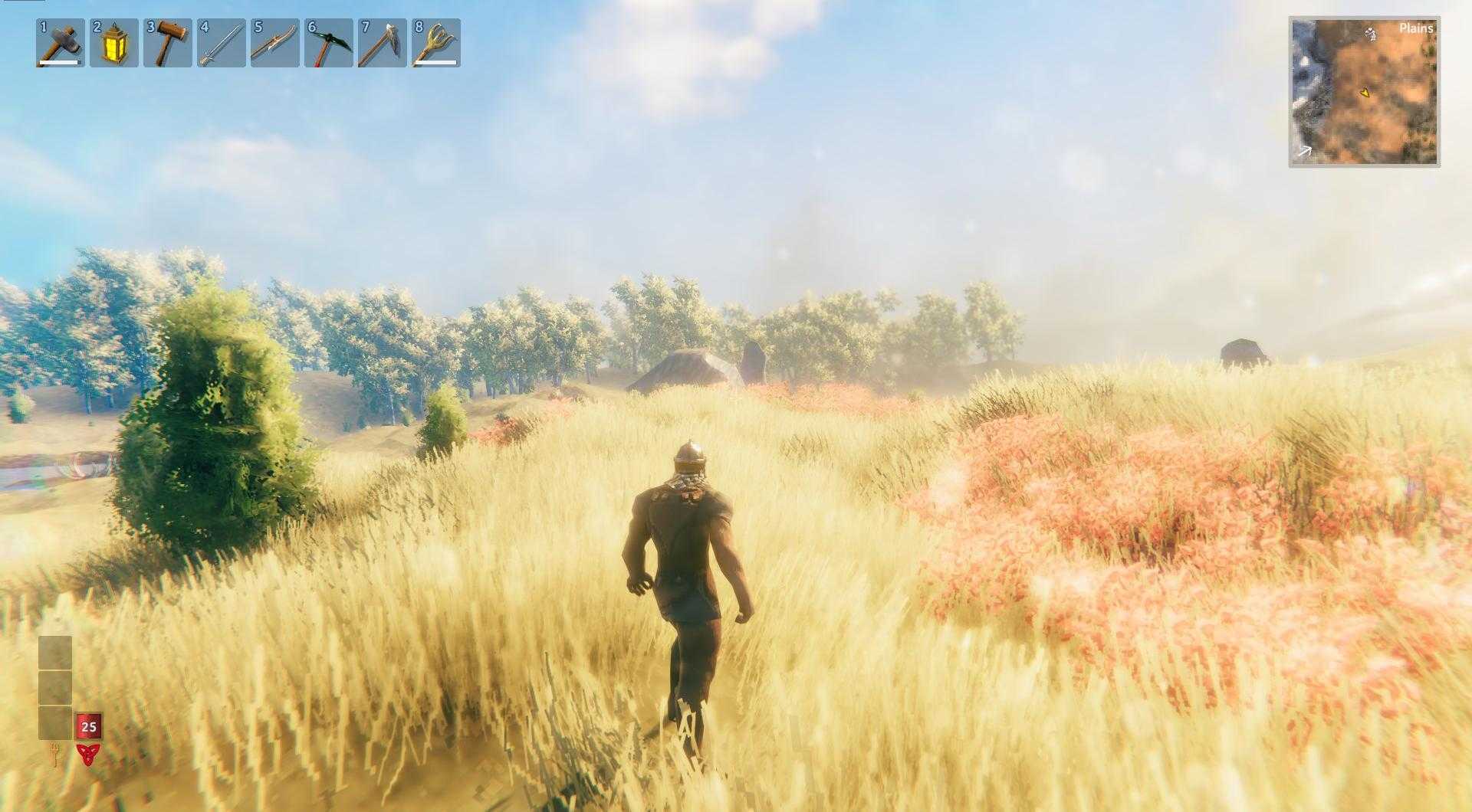 Erkunde die Ebenen in Valheim!