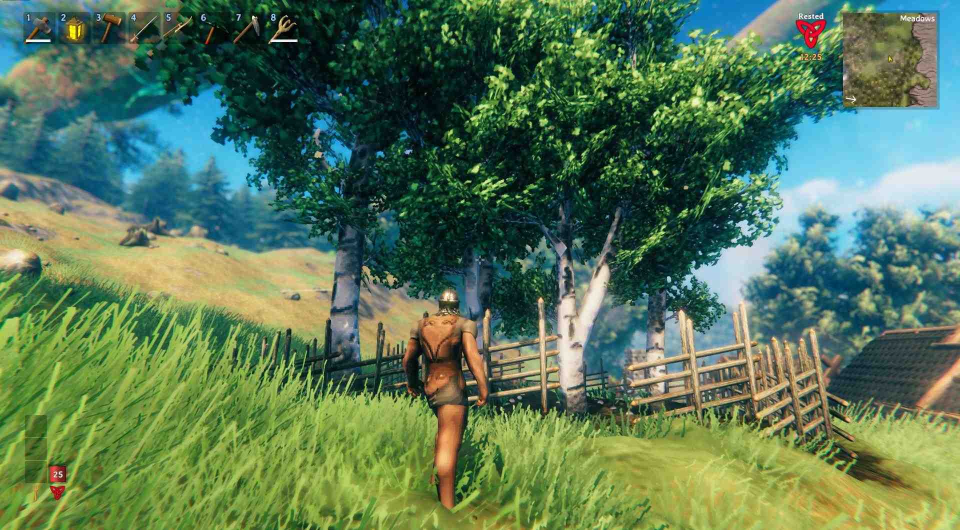 Genieße die Zufriedenheit, dein eigenes Waldparadies in Valheim zu haben!