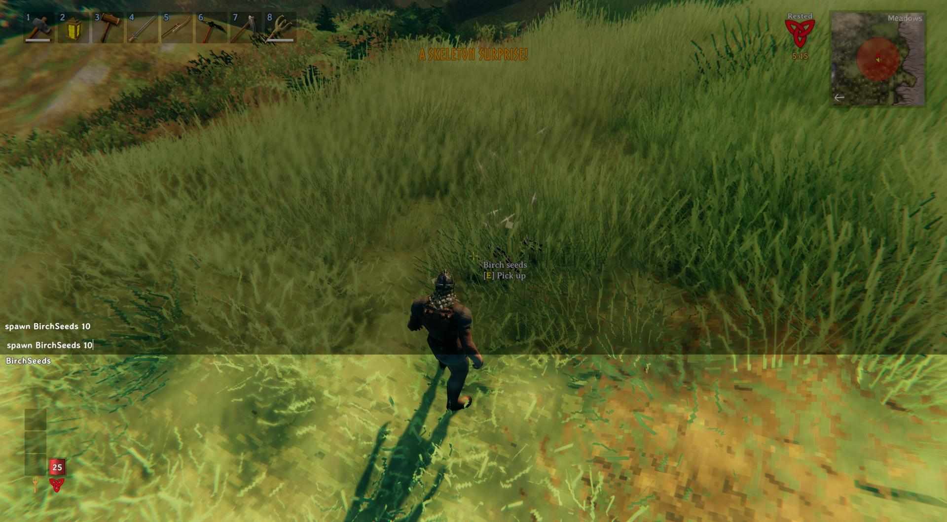 Verwende Befehle, um Samen zu spawnen, wenn du Schwierigkeiten hast, sie in Valheim zu finden.