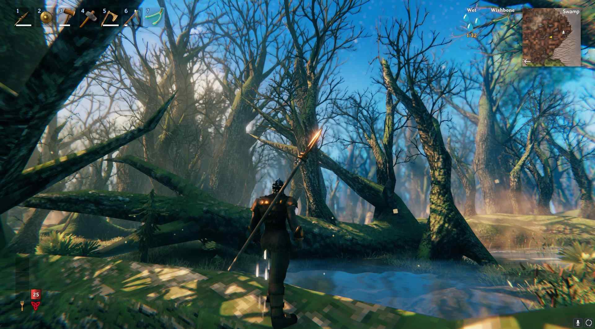Betrete Sumpf-Biom in Valheim.