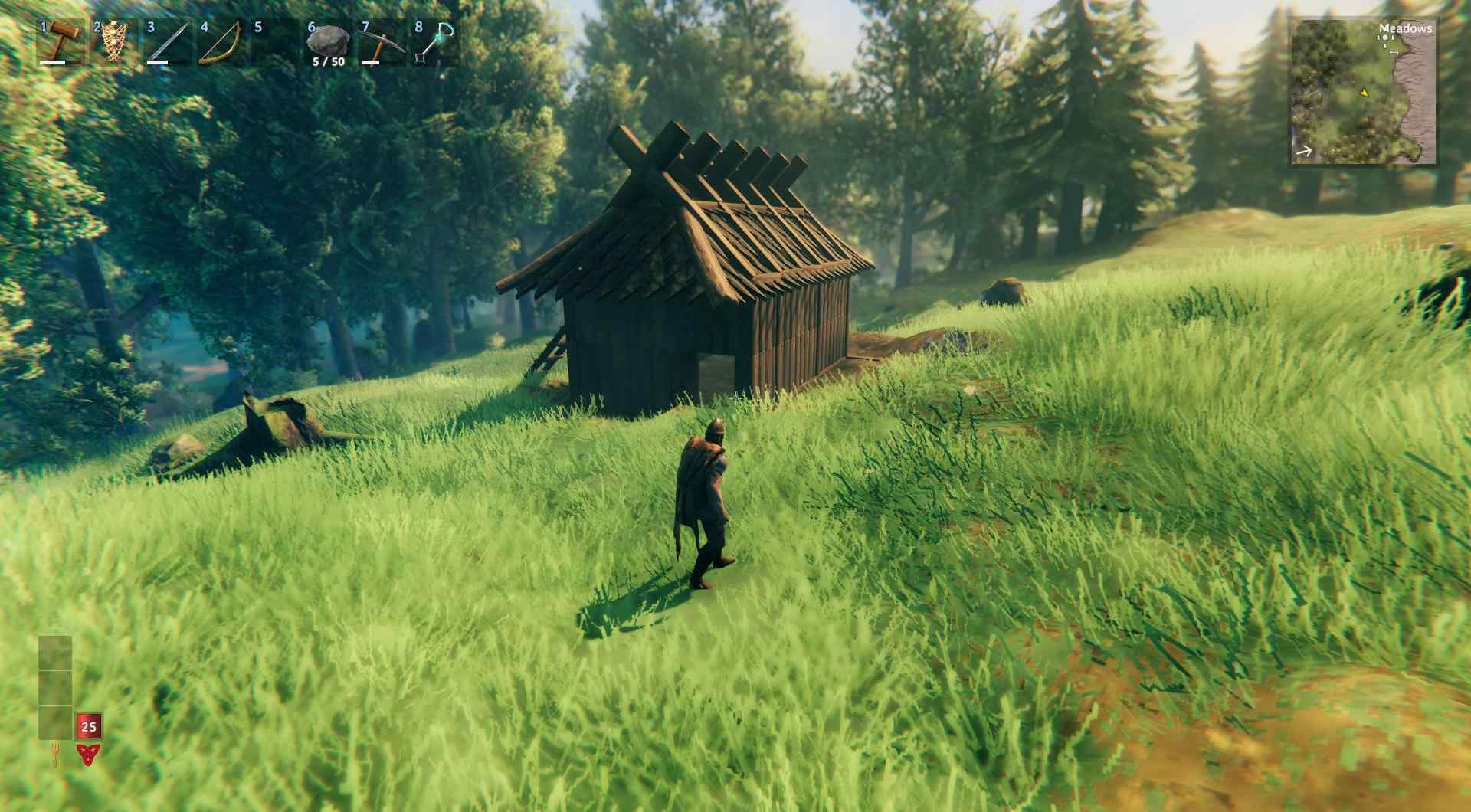 Nur ein einfaches Beispiel des Dachs in Valheim.