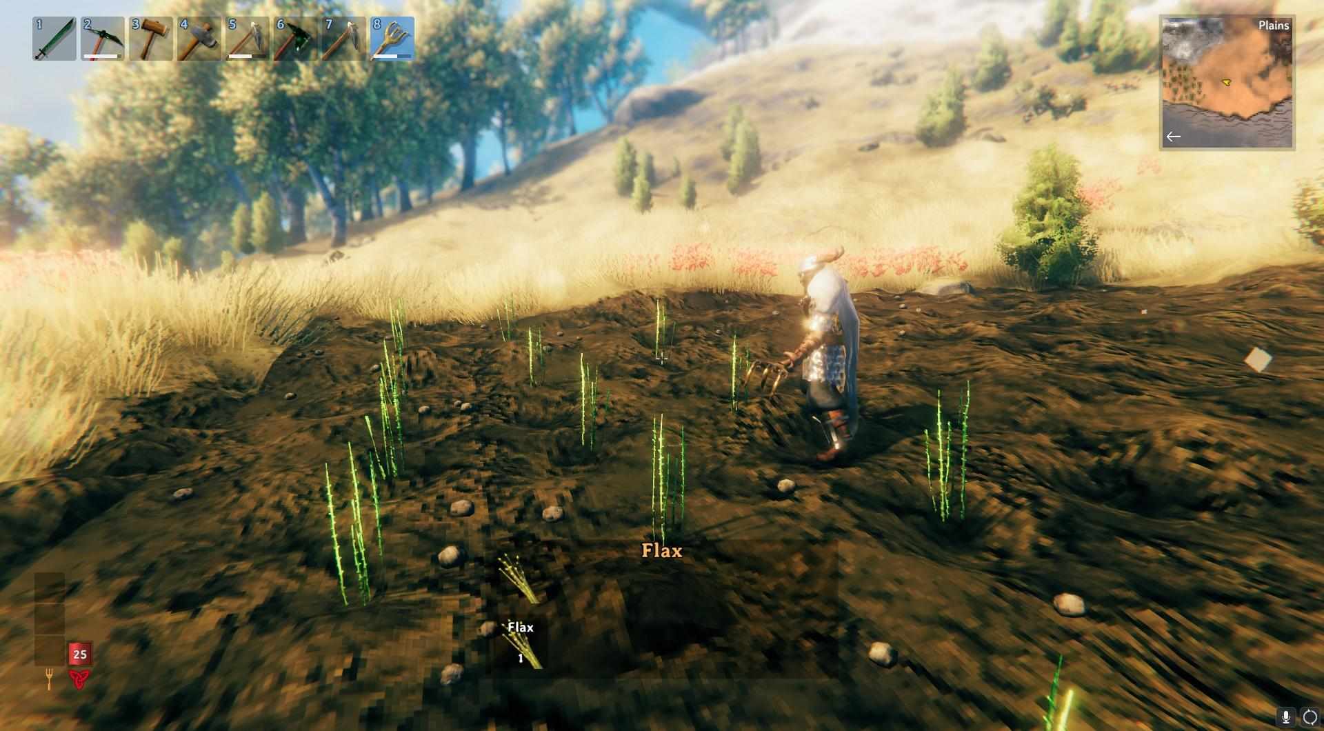 Pflanze Flacs in Valheim an.