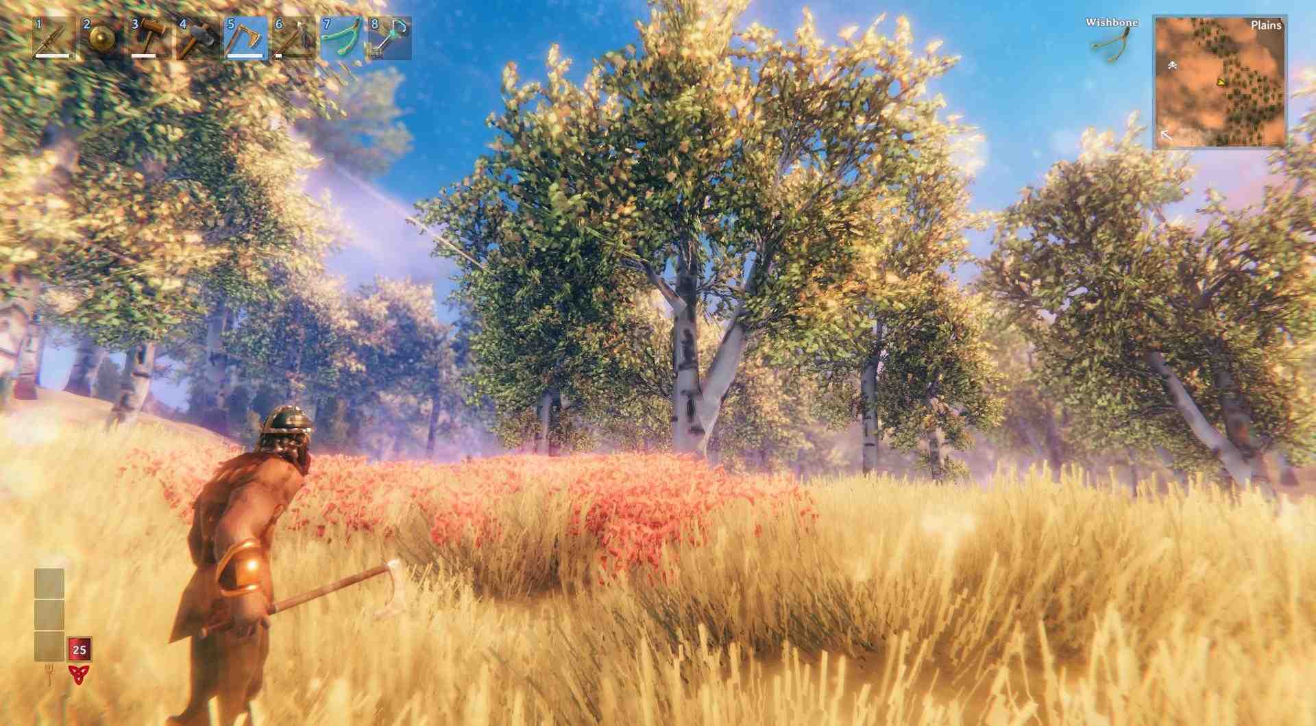 Finde die Birken in Plains biom.