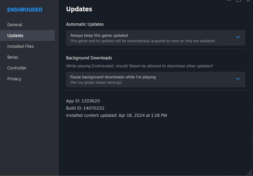 Stelle sicher, dass Enshrouded auf die neueste Version aktualisiert ist.
