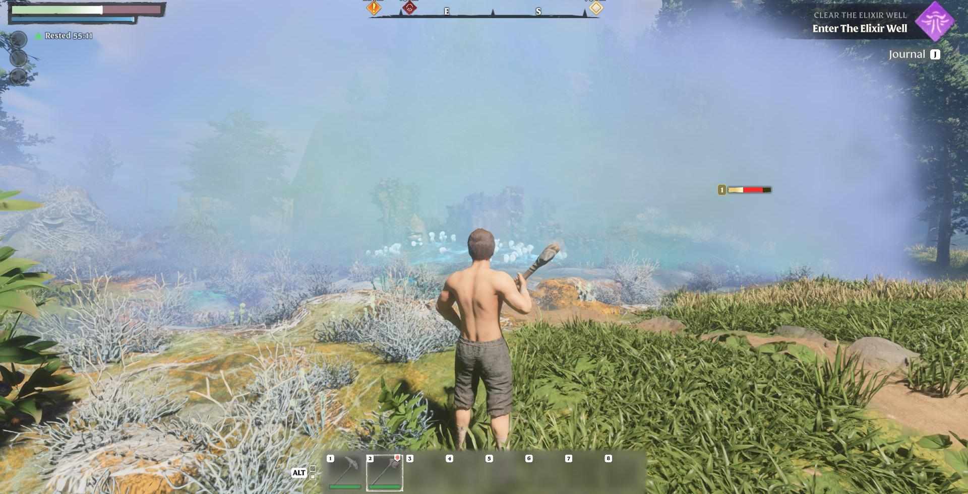 Tapfer durch die Enshroudeden und betreten Sie neblige Gebiete, um Shroud Wood zu finden.