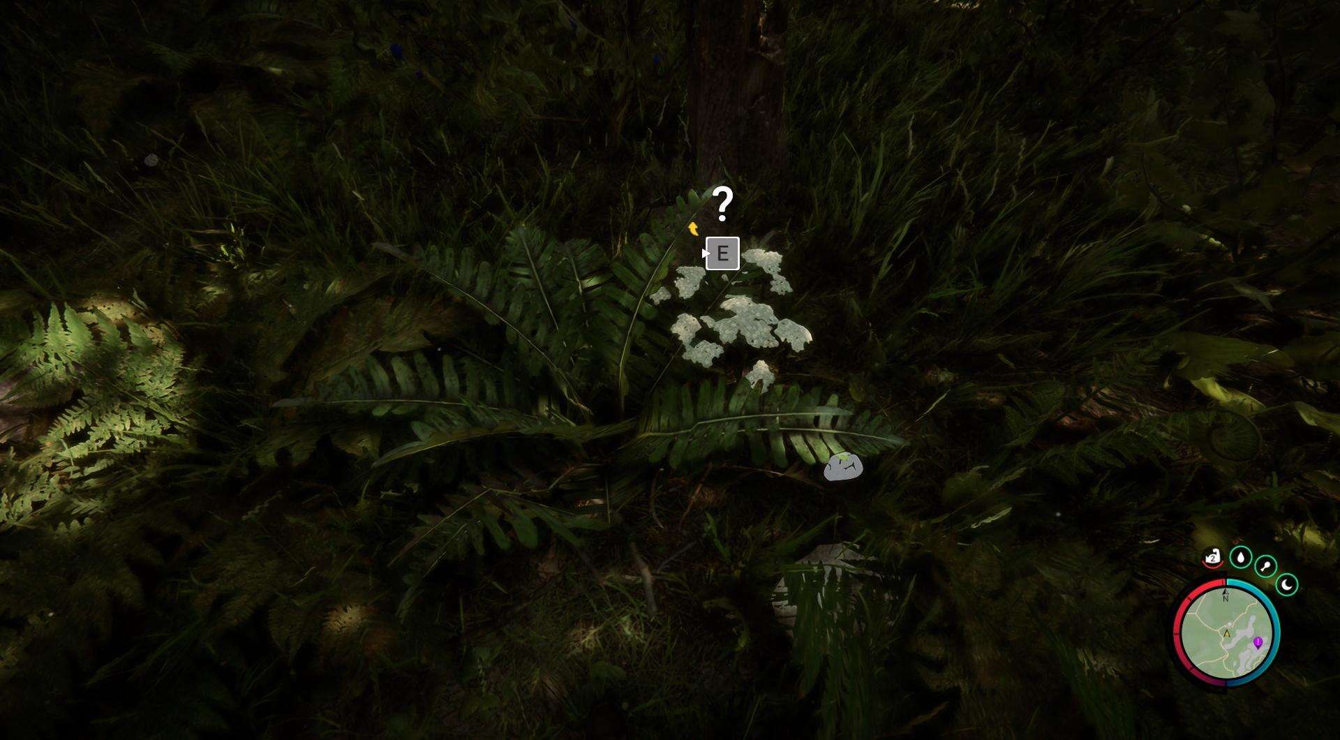Wie craftet man Gesundheitsmix in Sons of the Forest? - gamever