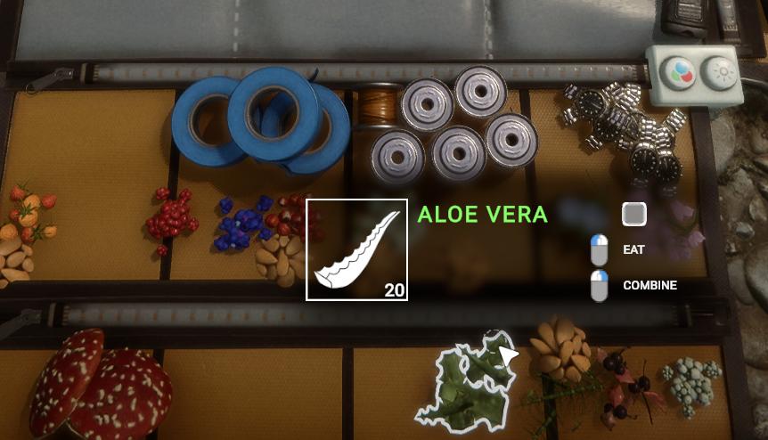 Suche in der Nähe von Flüssen, Seen und Höhleneingängen, um das schwer fassbare Aloe Vera zu finden.