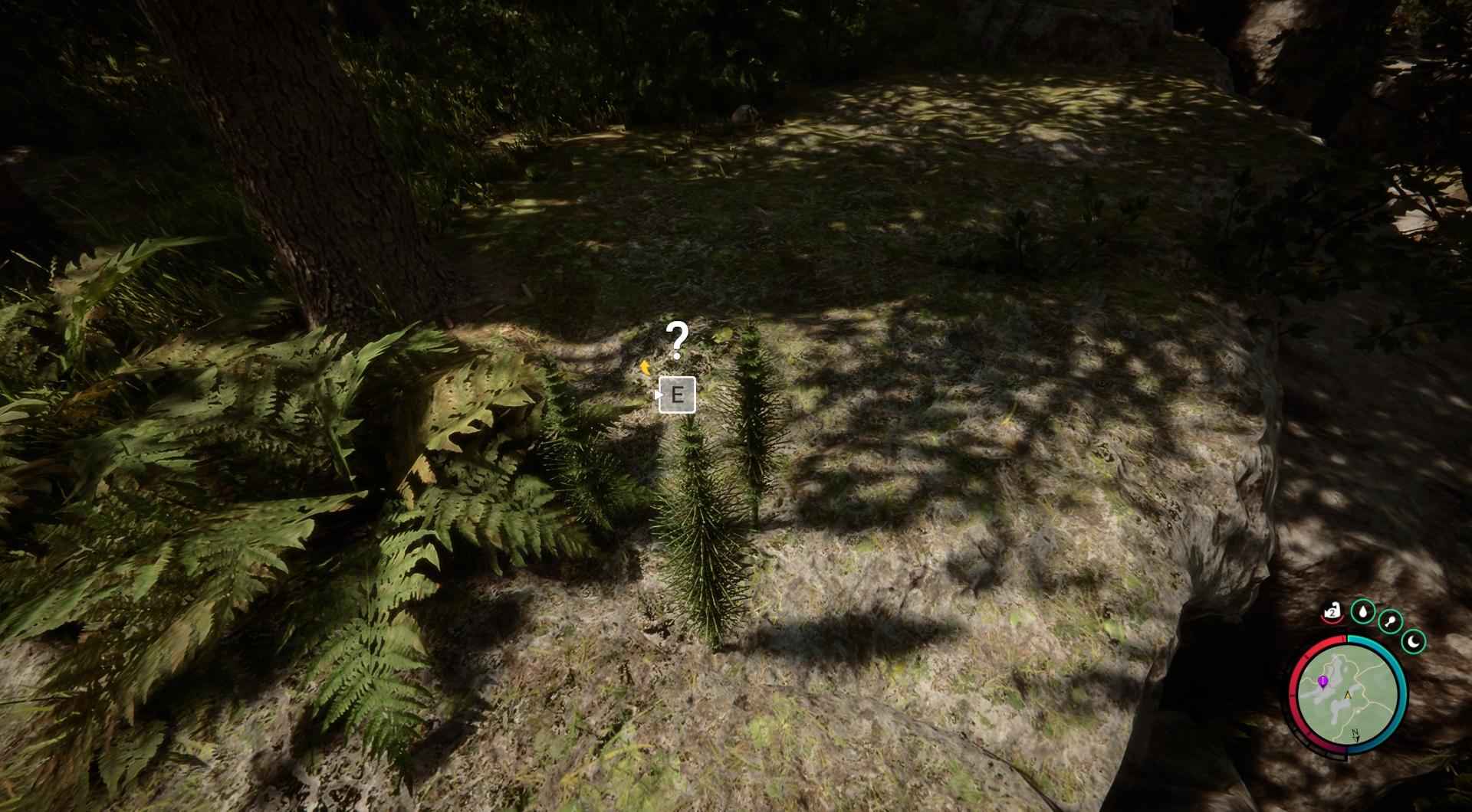 Begib dich auf die Westseite der Insel, um Feuerkraut zu finden.