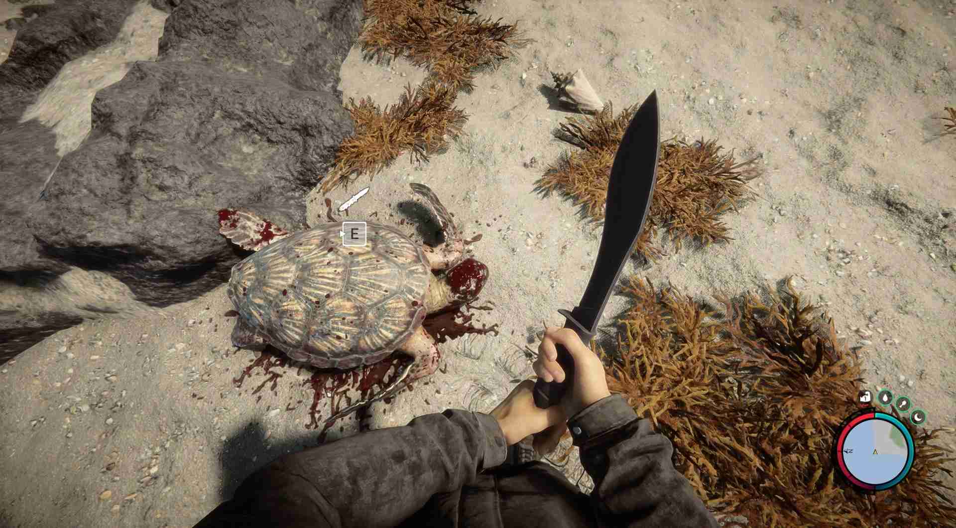 Benutze dein Messer, um die Panzer herauszuschneiden.
