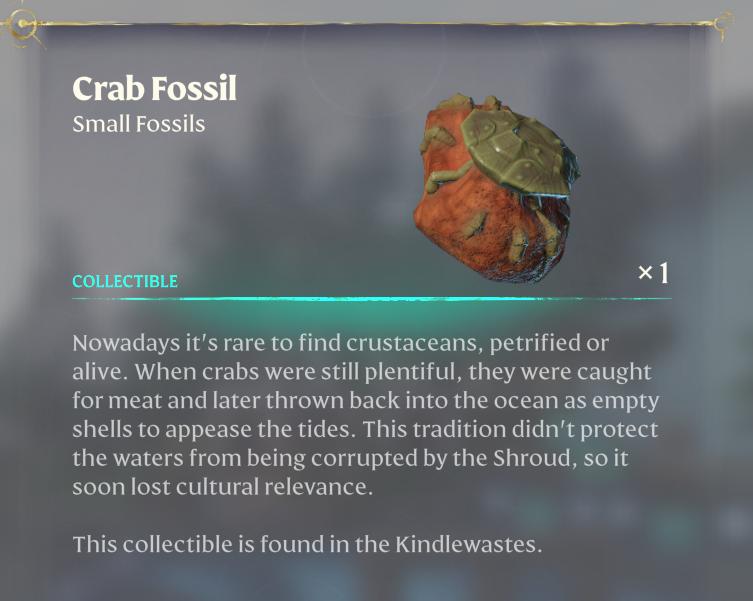 Stelle ein Fossil Showcase her, um das Fossil in deiner Sammlung auszustellen