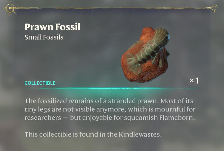 Sammle das Garnelenfossil in Enshrouded Back to the Shroud Update
