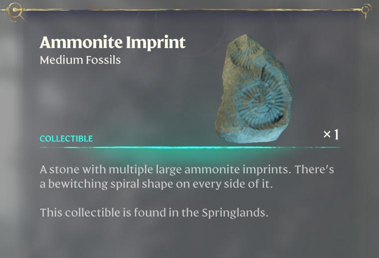 Entdecke die zentrale Säule mit dem Ammonit-Abdruck-Fossil