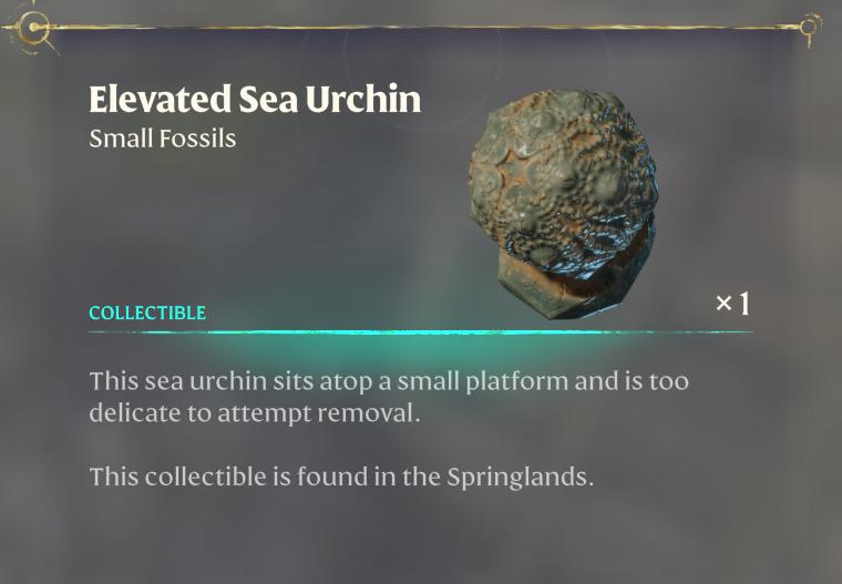Craft a Fossil Showcase at your carpenter
