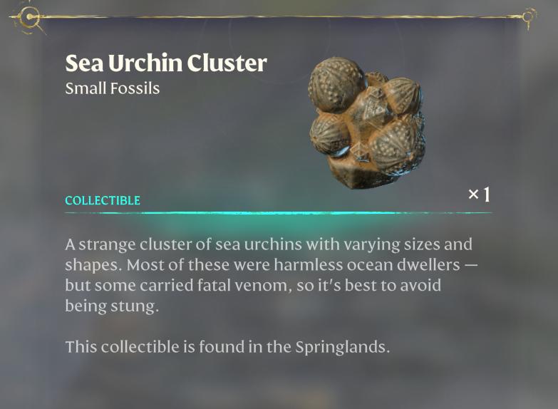 Sammle die Seeigel Gruppe in Enshrouded Back to the Shroud Update