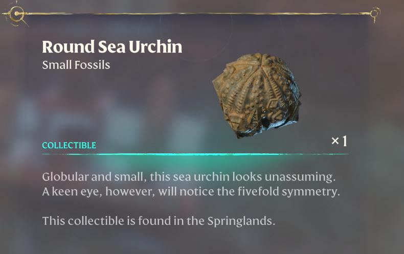 Craft a Fossil Showcase at your carpenter