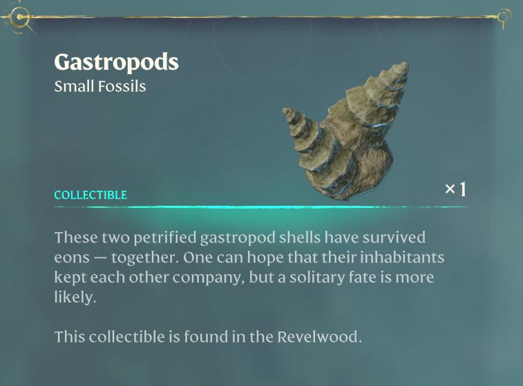Finde einen der Fossilien im Düsterdickicht - Gastropoden im Enshrouded Update