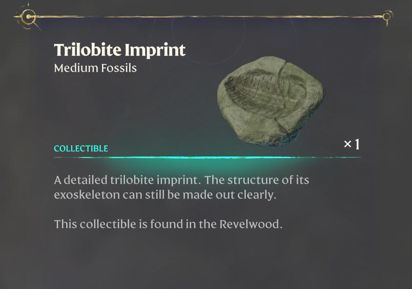 Erkunde das Düsterdickicht nach Fossilien im Enshrouded Back to the Shroud Update