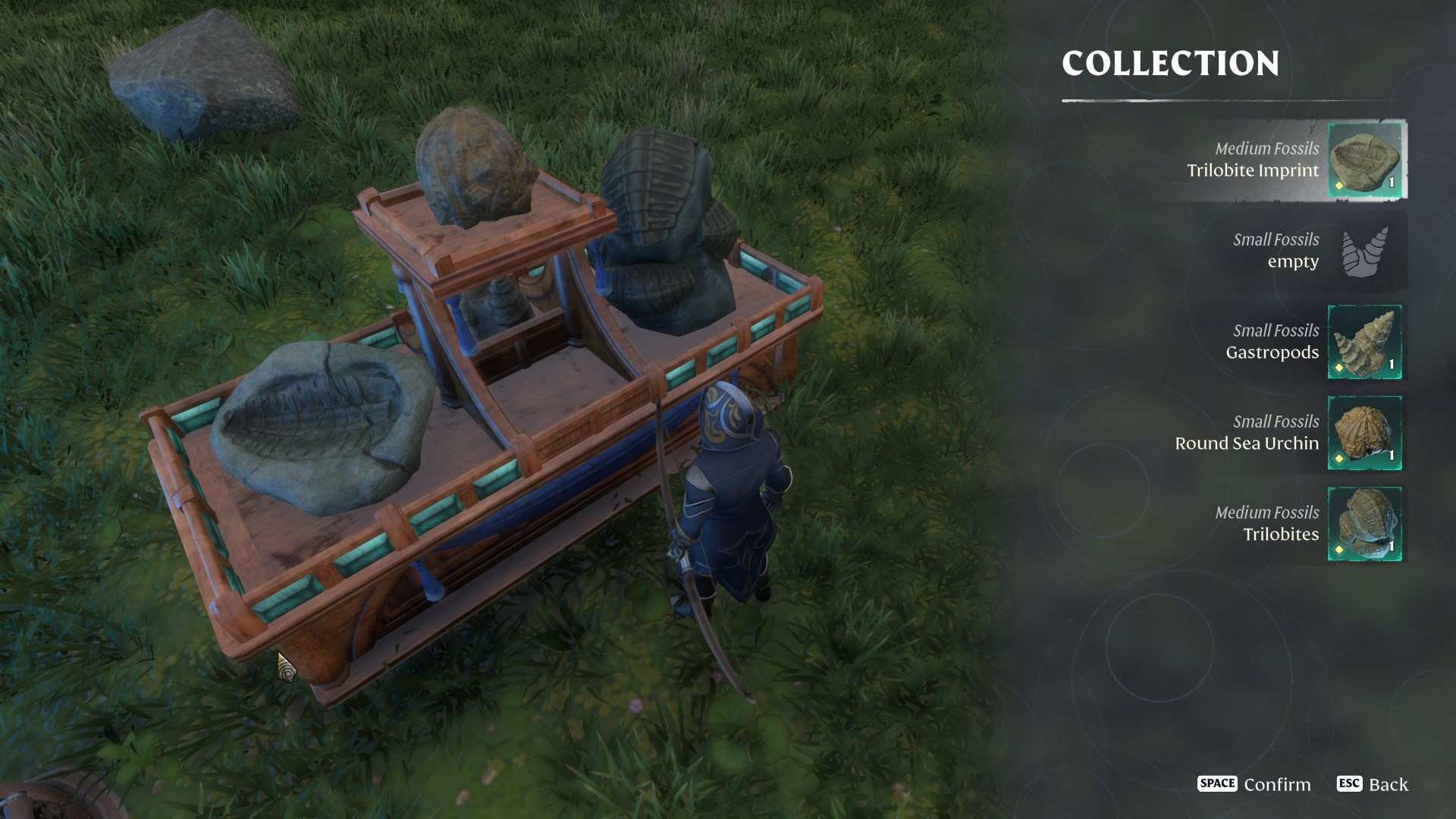 Stelle eine Fossil-Vitrine im Enshrouded Back to the Shroud Update her, um deine Funde auszustellen