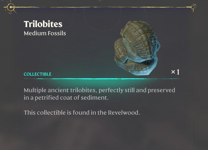 Sammle ein weiteres Sammelobjekt – Fossil-Trilobiten im Enshrouded Back to the Shroud Update
