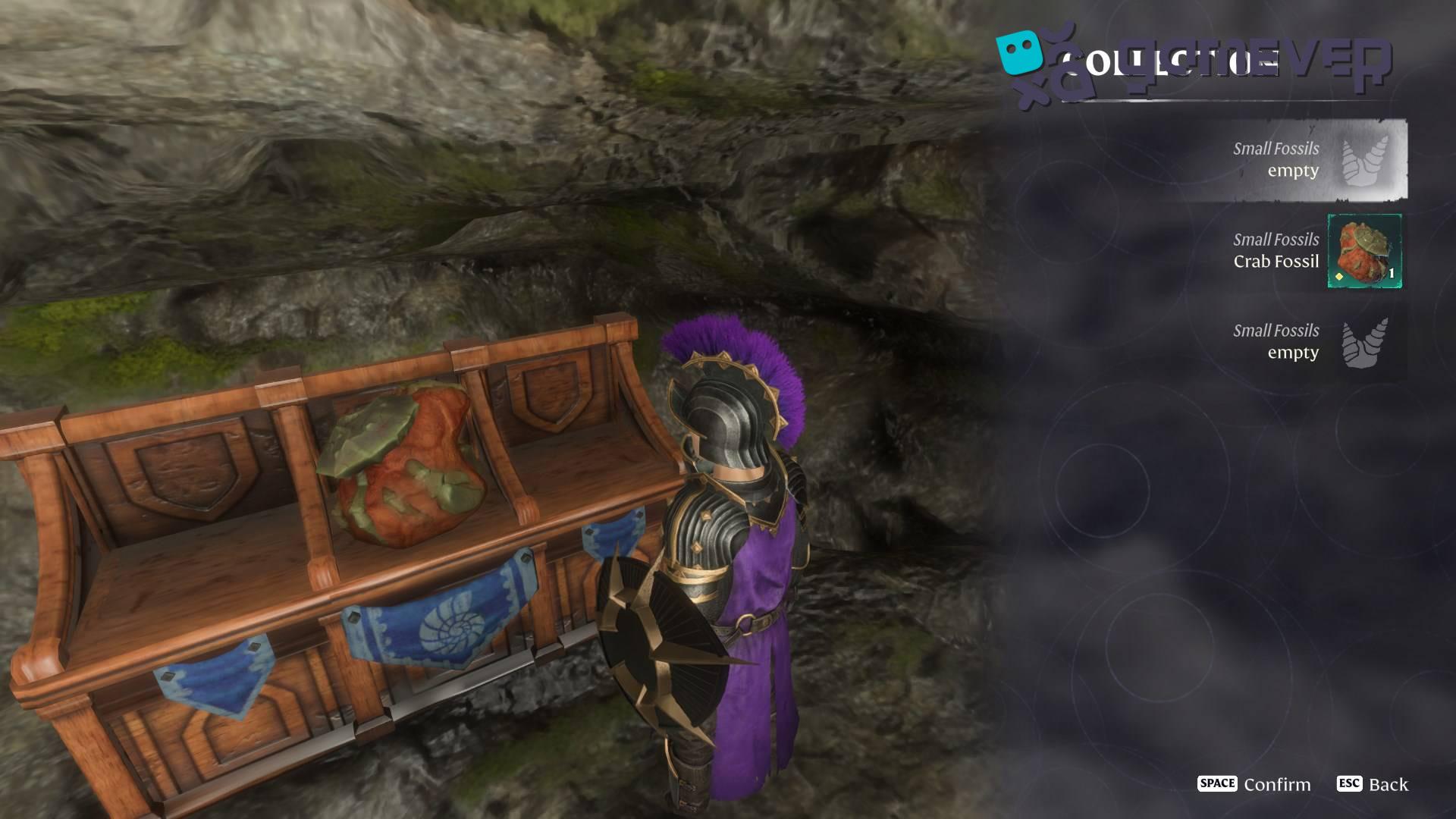 Muestra con orgullo tu Fósil de Cangrejo en la Actualización "Back to the Shroud" de Enshrouded