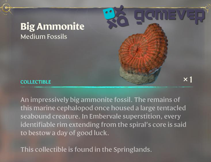 Recoge uno de estos fósiles medianos en la bioma de Springlands