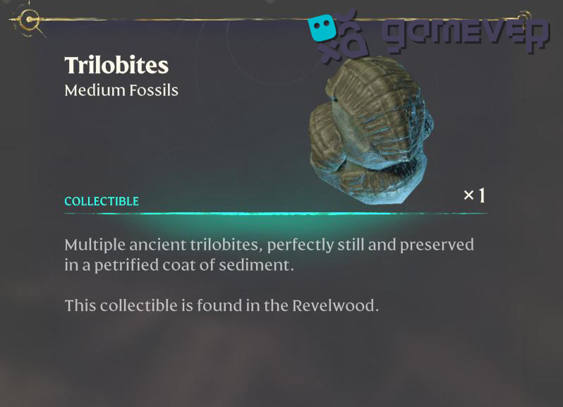 Reúne un ítem más de colección: Fósiles de Trilobites en la actualización de Enshrouded "Back to the Shroud"