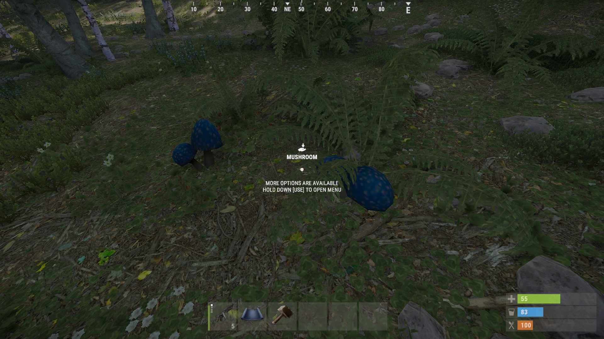Ändere die Farben der Pilze, um sie unter den Büschen in Rust besser sichtbar zu machen