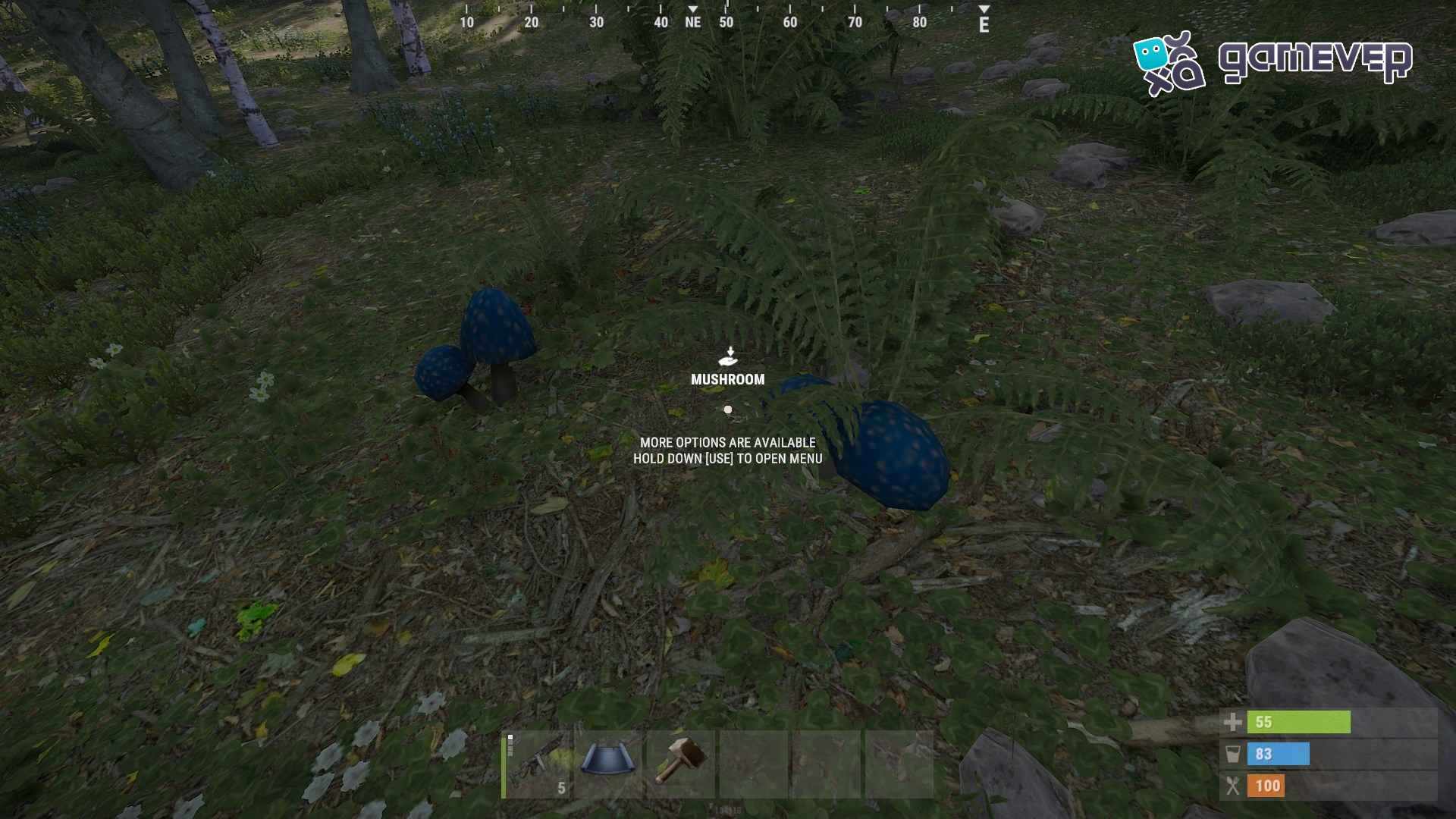 Cambia los colores de los hongos para hacerlos más visibles entre los arbustos en Rust