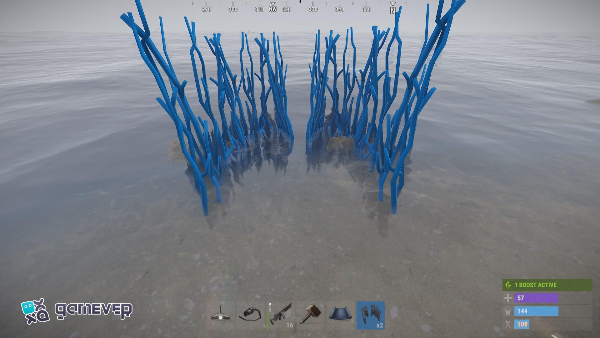 Coloca tu trampa para peces donde el agua se encuentre con la tierra en Rust