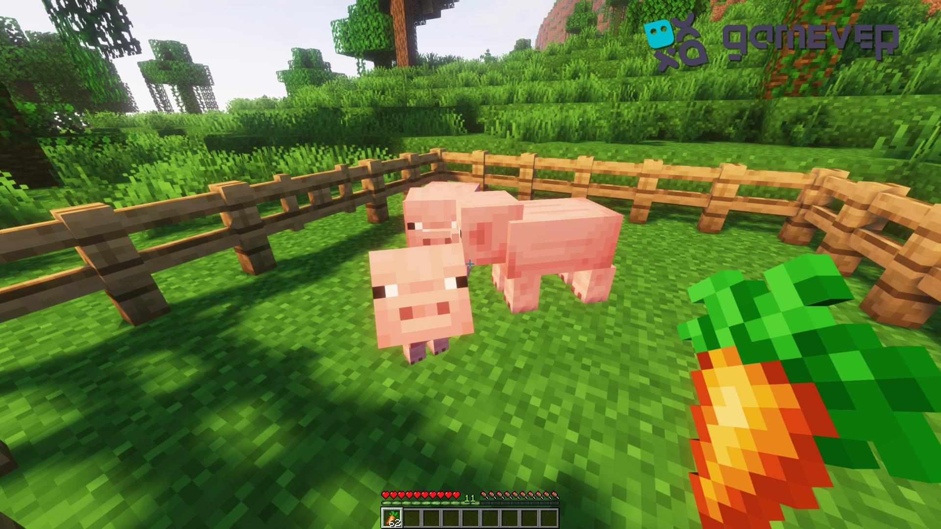Das Erscheinen des kleinen Schweins