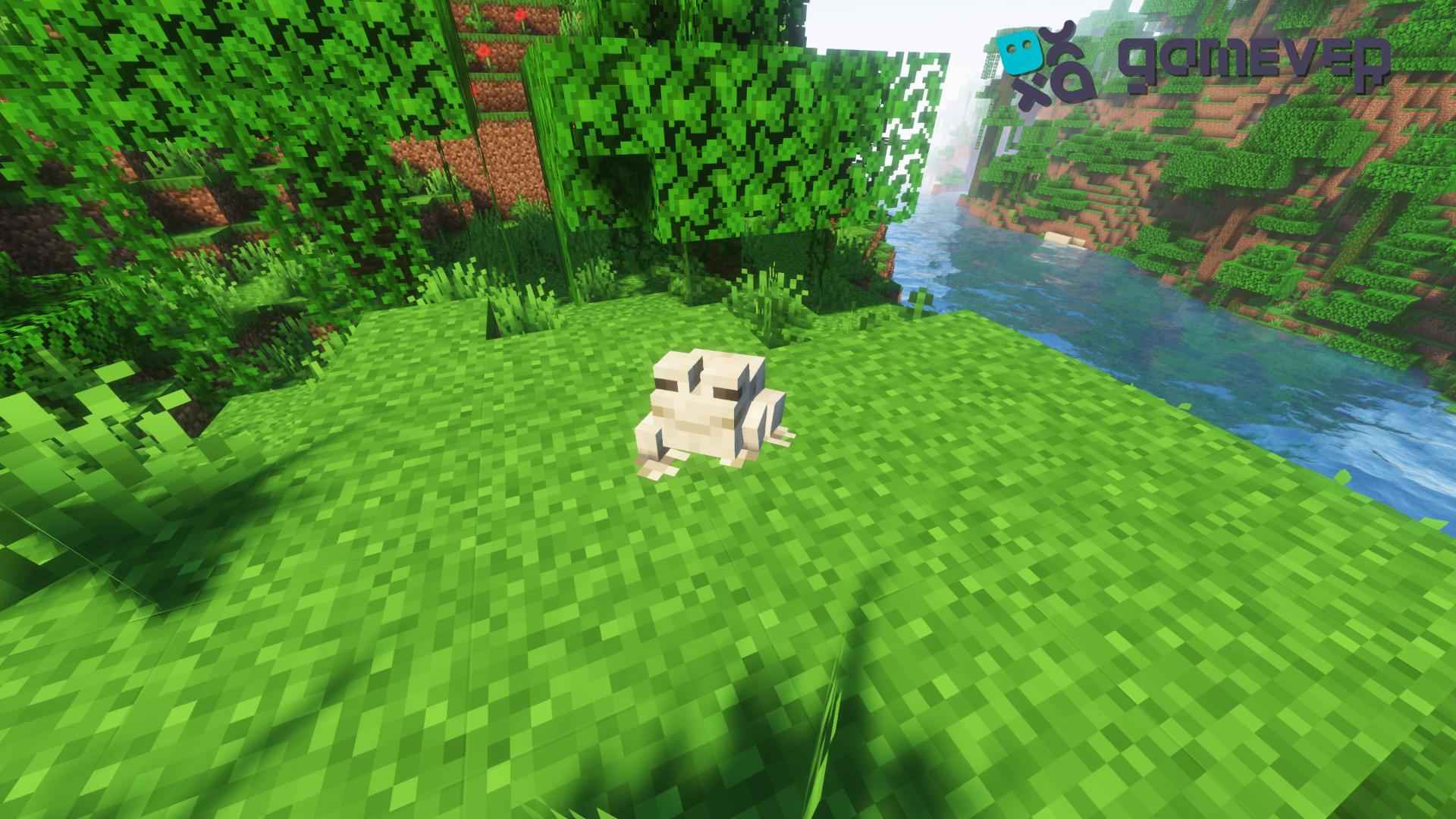 Ein weißer Frosch im Dschungelbiom