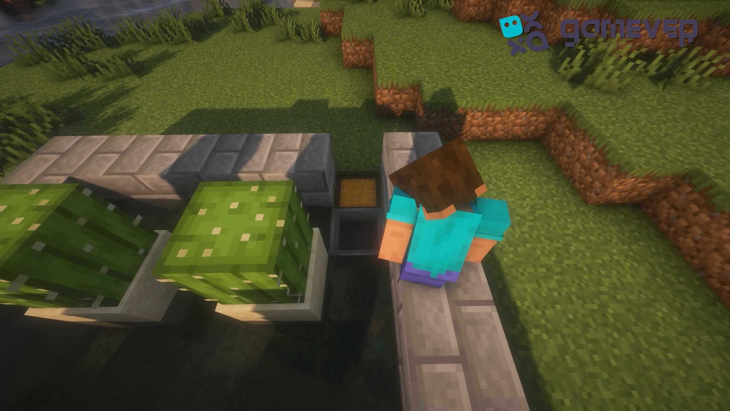 Wie baut man eine Kaktusfarm in Minecraft? - gamever