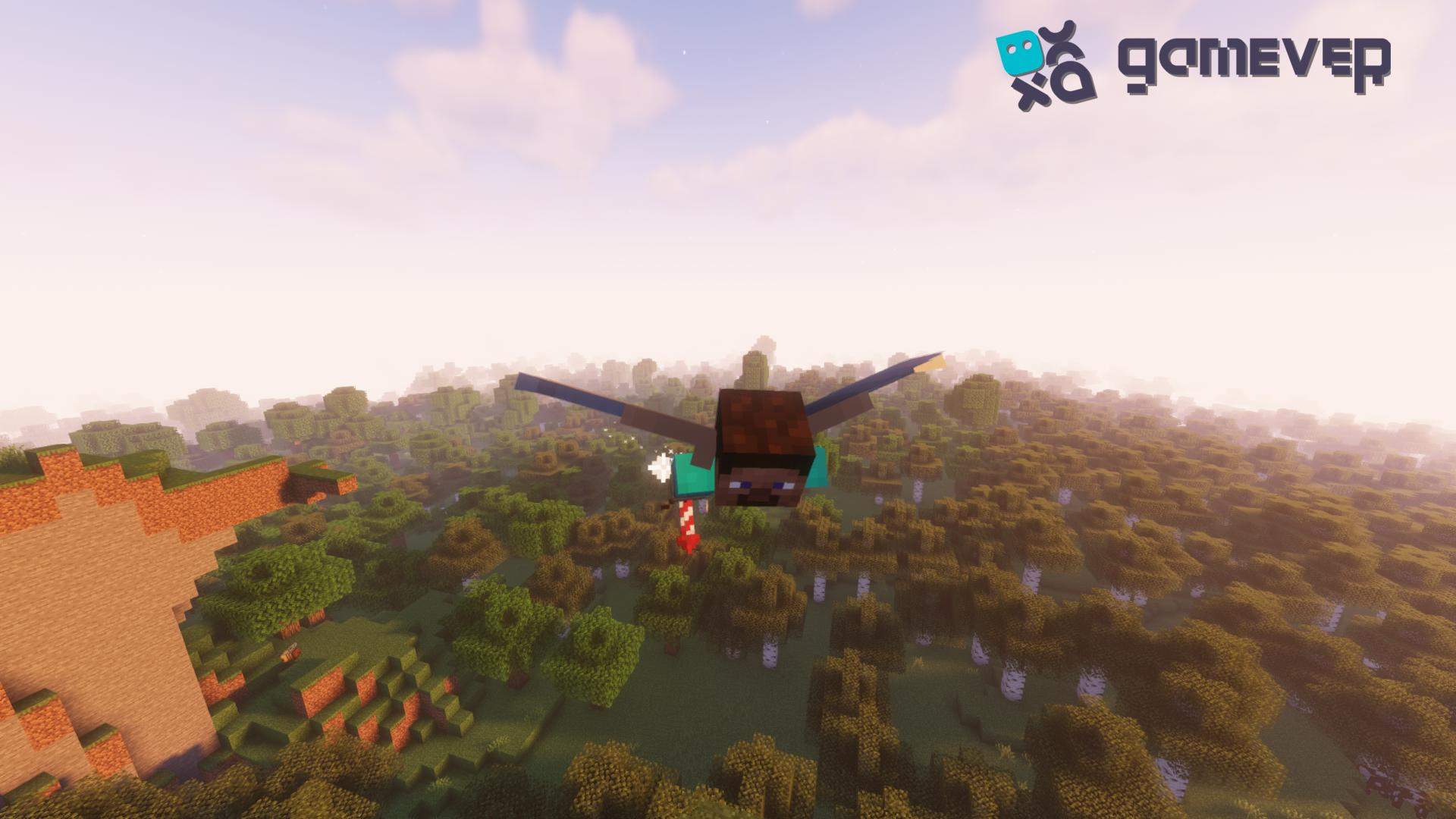 Elytra-Flug