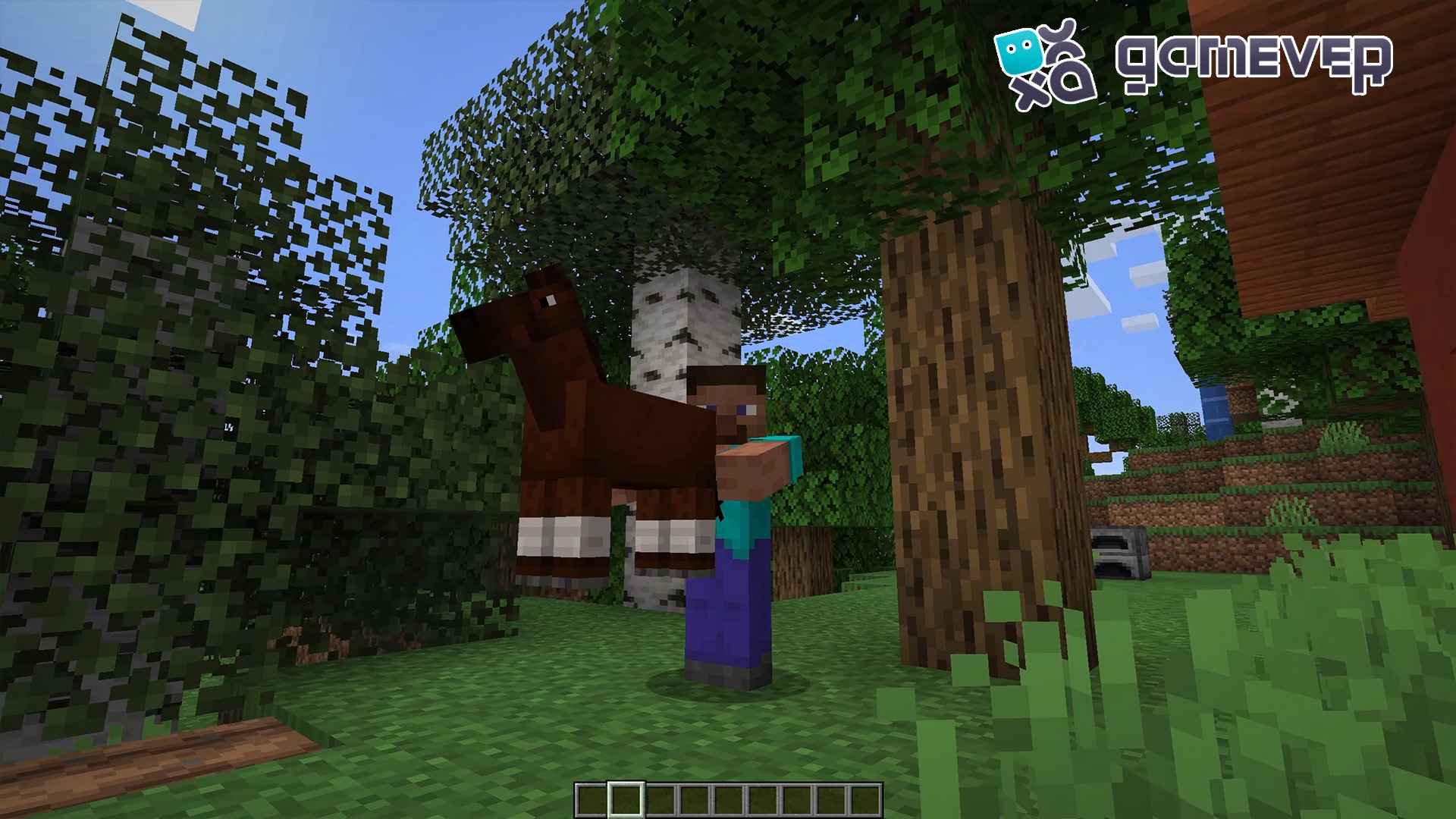 Llevando un caballo en tus brazos