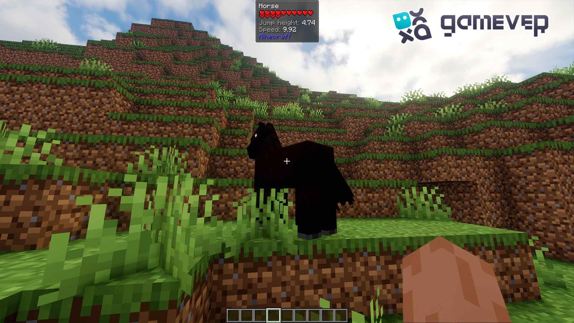 Mostrar información de un caballo en Minecraft