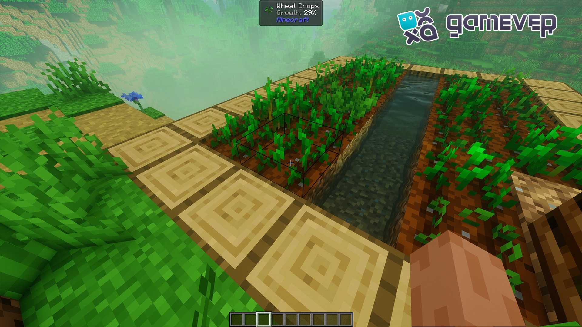 Mostrar información sobre el proceso de crecimiento del trigo en Minecraft