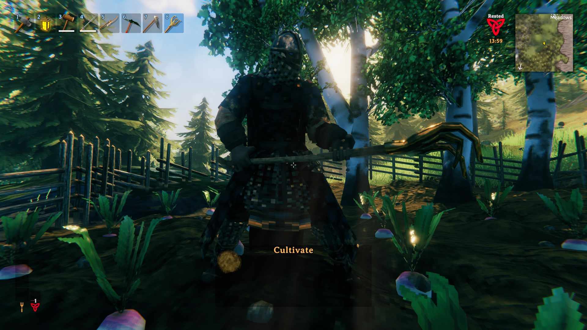 Kultiviere dein Land im Valheim Bog Witch Update