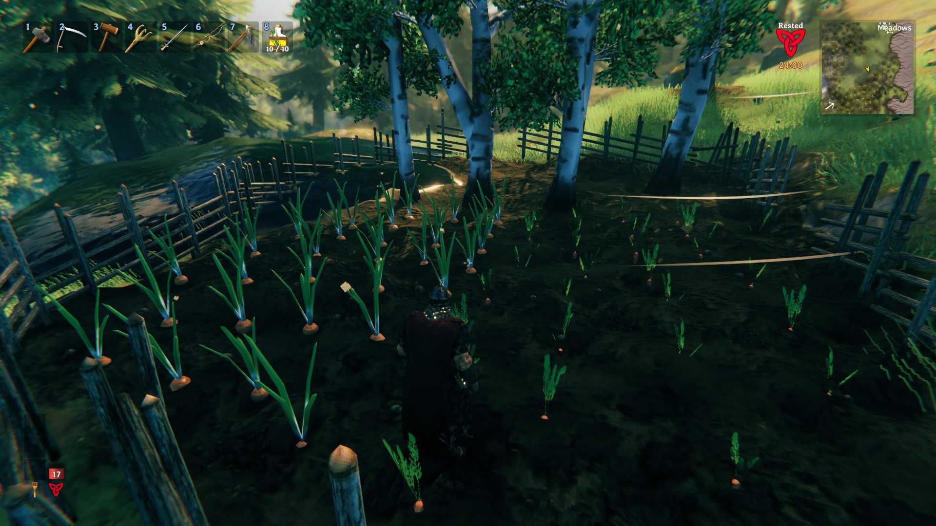 Plant Onion and Carrot seeds in cultivated ground to farm your own onions