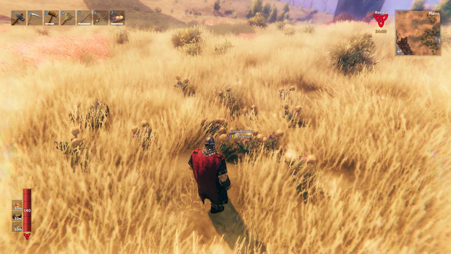 Search the Plains biome for cloudberries in Valheim Bog Witch