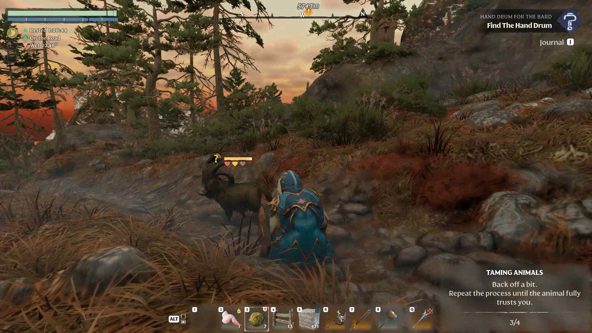 Throw bait to gain the goat’s attention