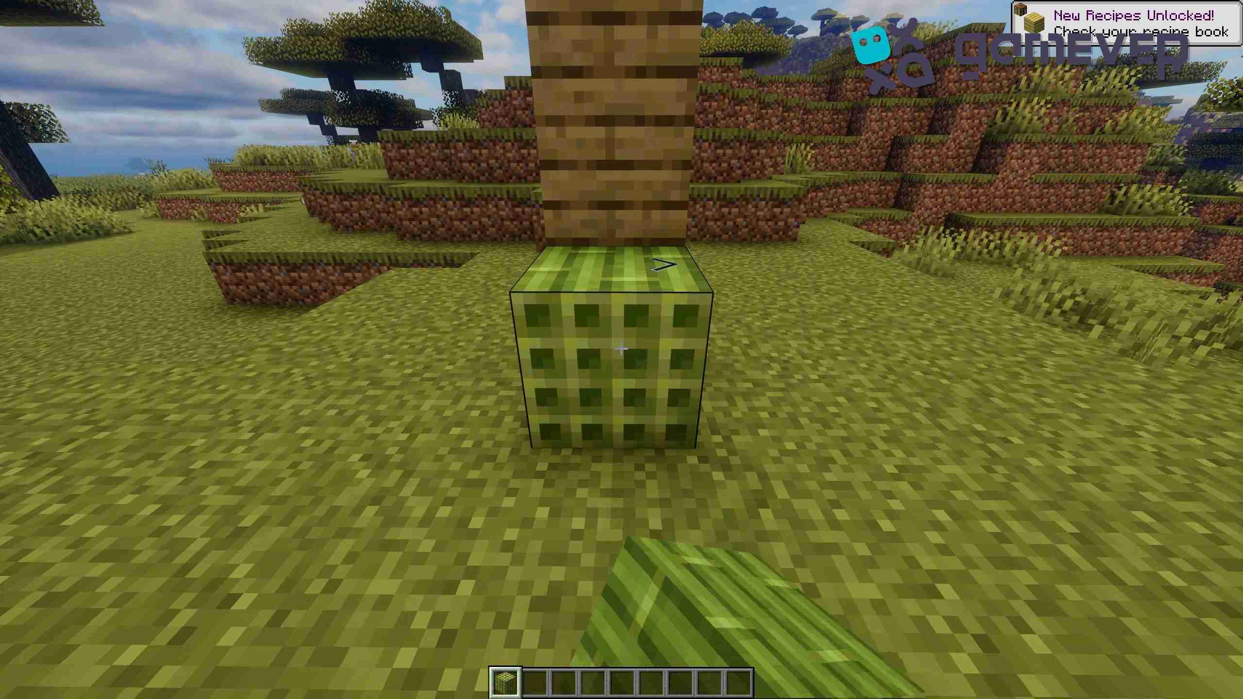 Maskierung eines Aufzugs in Minecraft