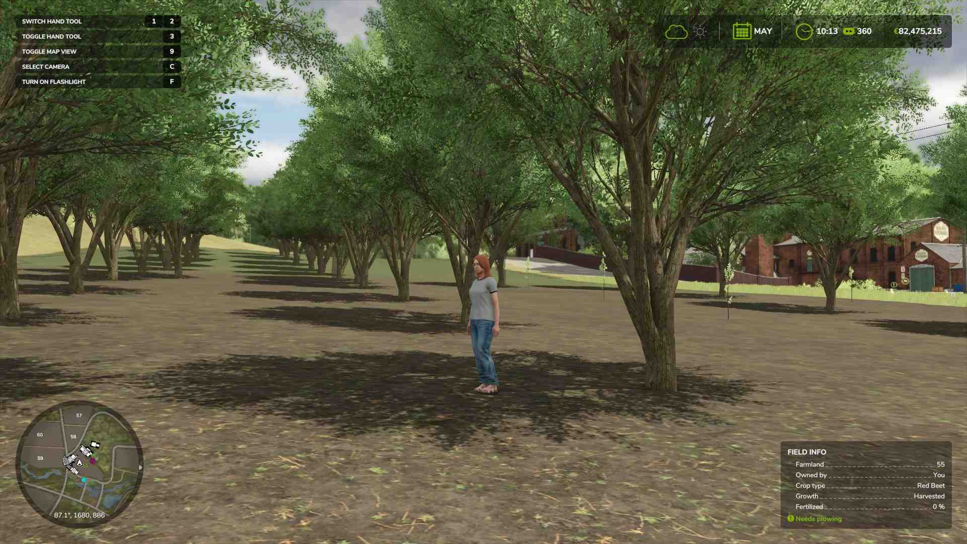 Enjoy your thriving forest in Farming Simulator 25