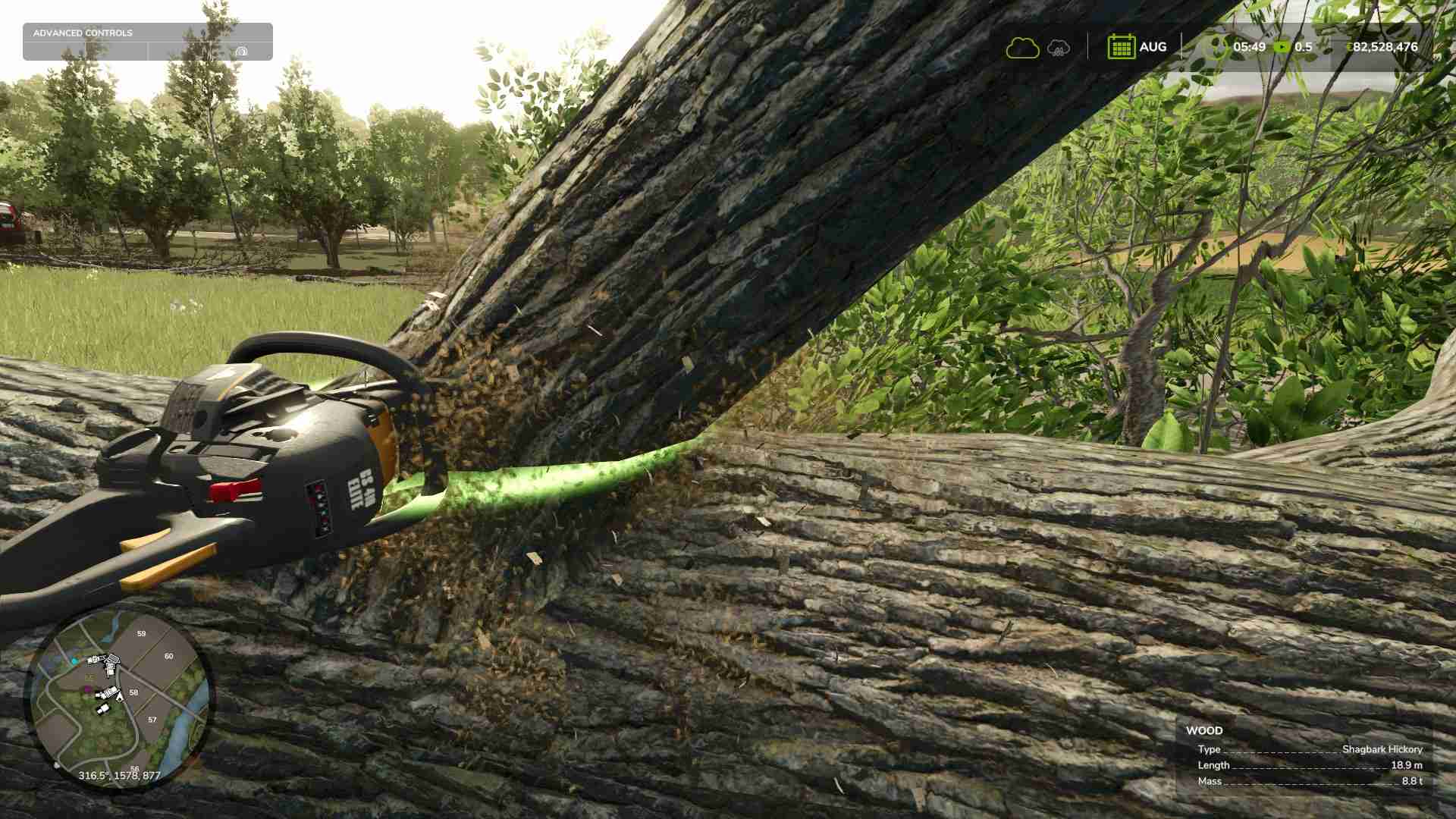 Entferne Äste mit einer Kettensäge nach dem Fällen in Farming Simulator 25.