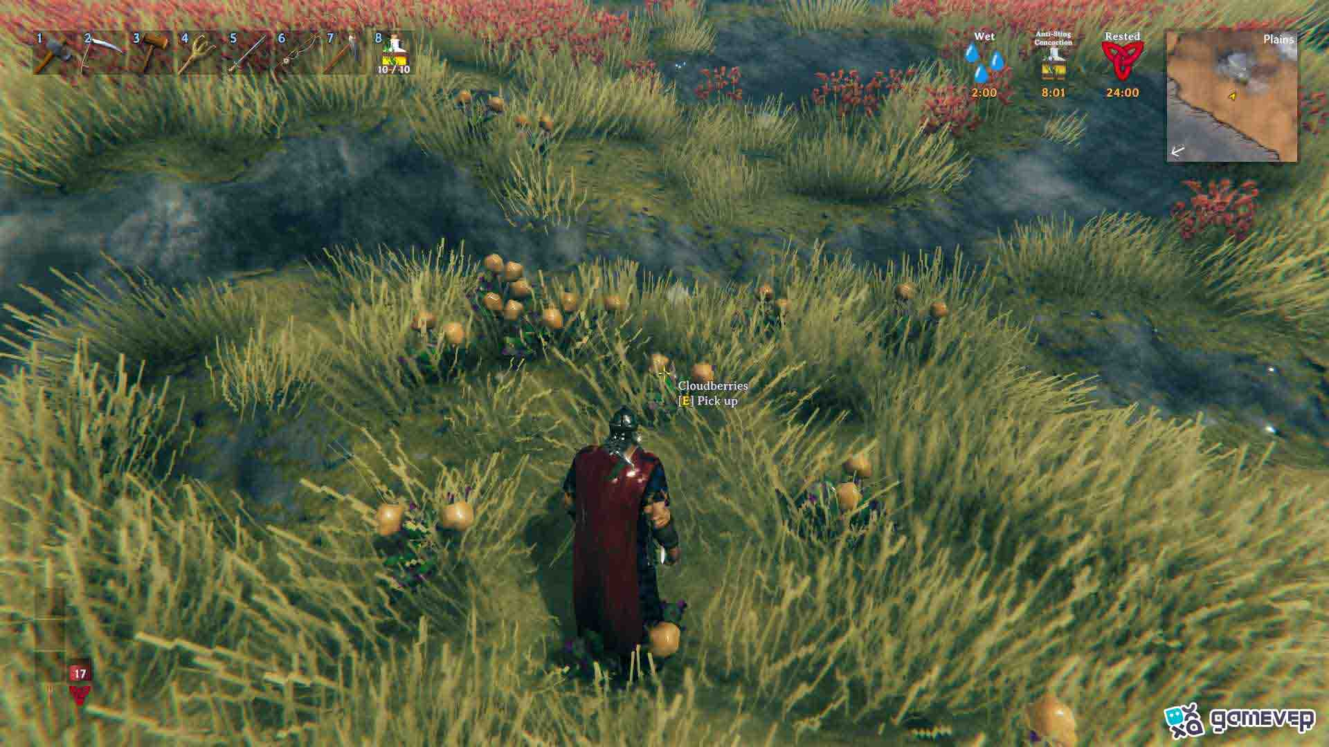 Recolecta Bayas de Nube en las Llanuras para el Brebaje Anti-Picadura en Valheim.