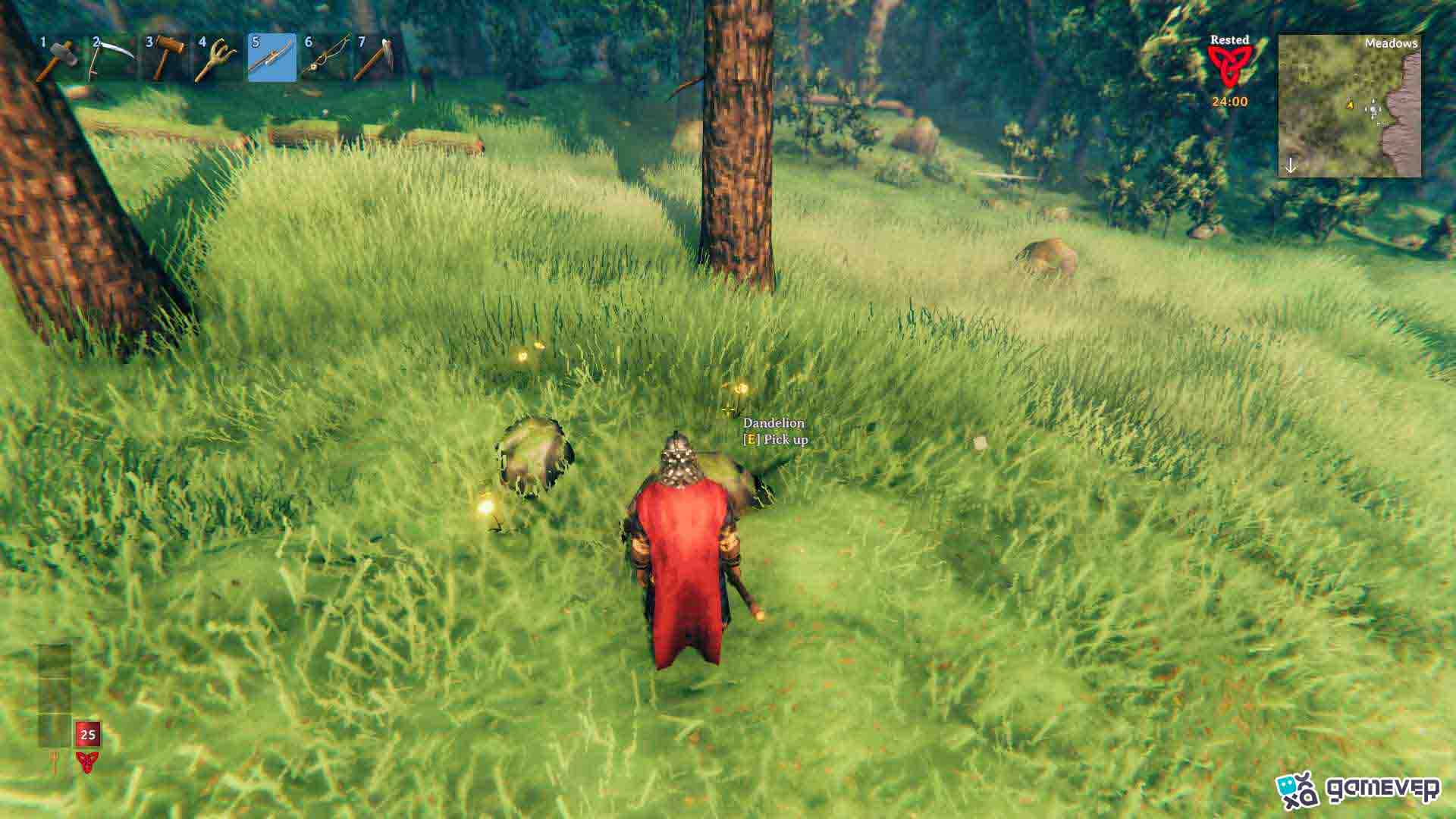 Recoge dientes de león en el bioma de los Prados para la Base de Hidromiel Vananidir en Valheim.