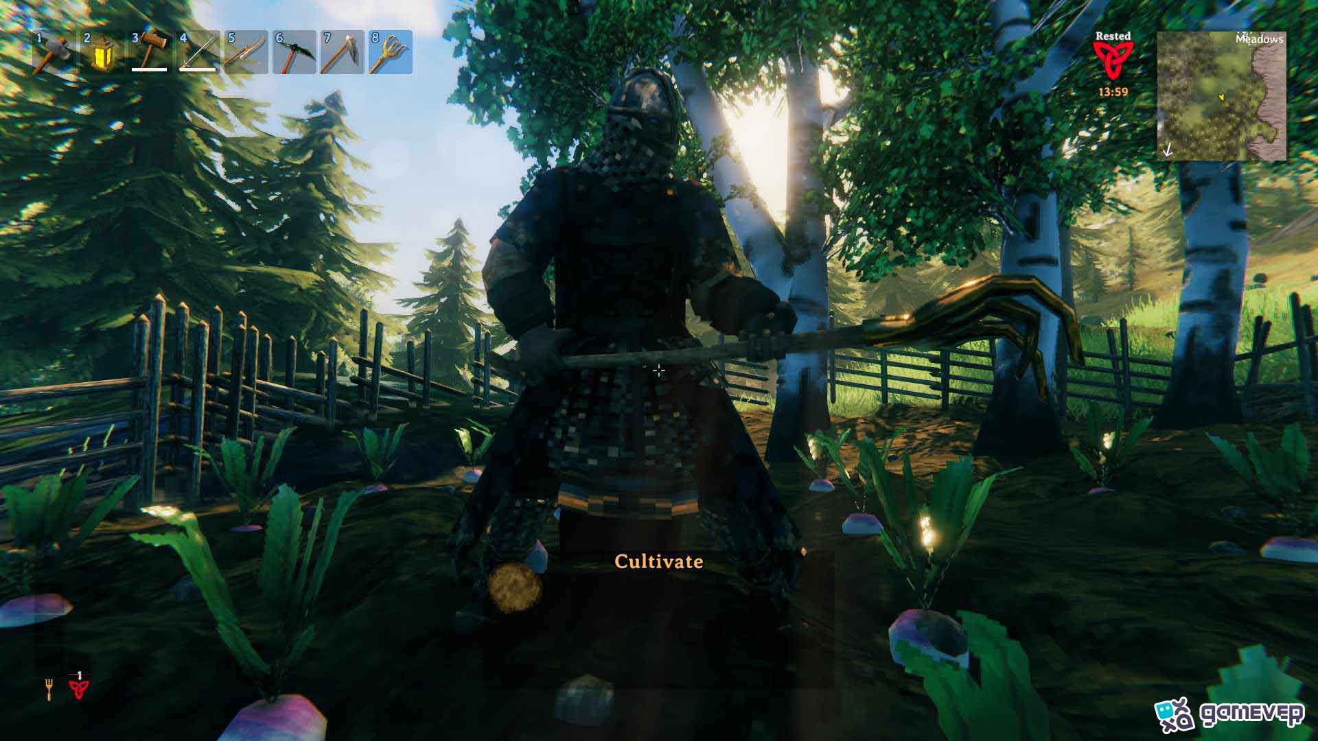 Cultiva tu tierra en la actualización Bog Witch de Valheim