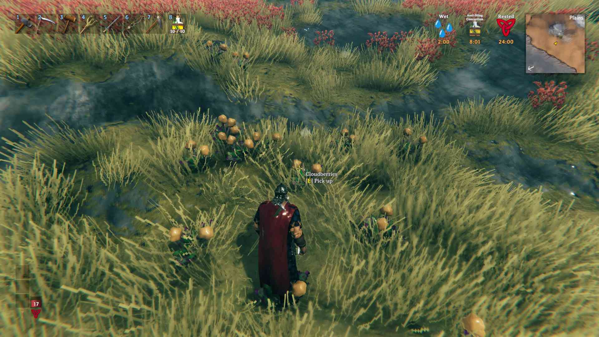 Sammle Wolkenbeeren in den Plains für den Valheim Todeskito-Abwehr-Trank.